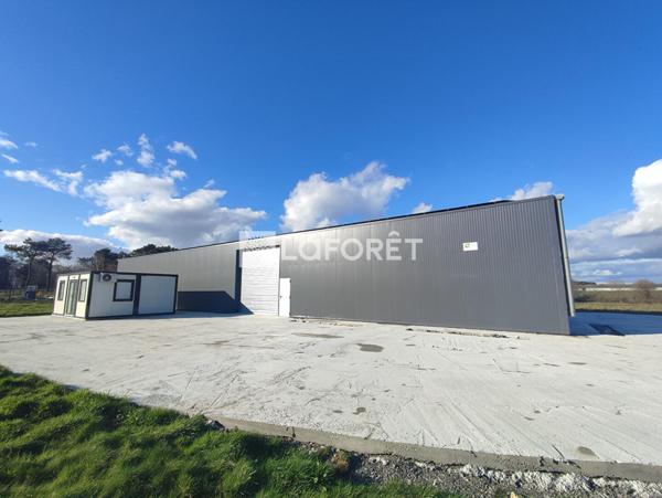 Location local commercial Saint-Jacut-les-Pins - 520 m² - 1 450 €/mois