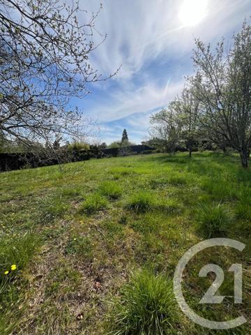 Terrain à vendre  1005 m2 ST JEAN - 31