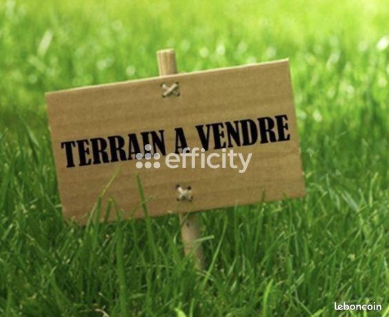 Terrain
        
        - 445 m² Exclusivité 126 500 € *