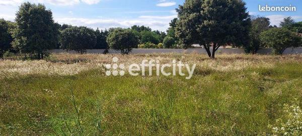 Terrain
        
        - 445 m² Exclusivité 126 500 € *