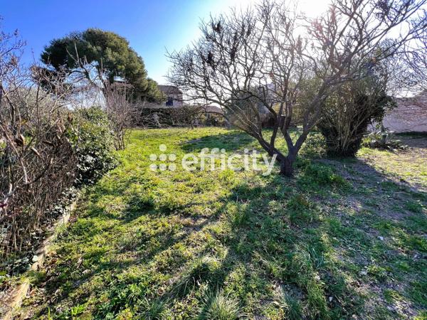 Terrain
        
        - 445 m² Exclusivité 126 500 € *