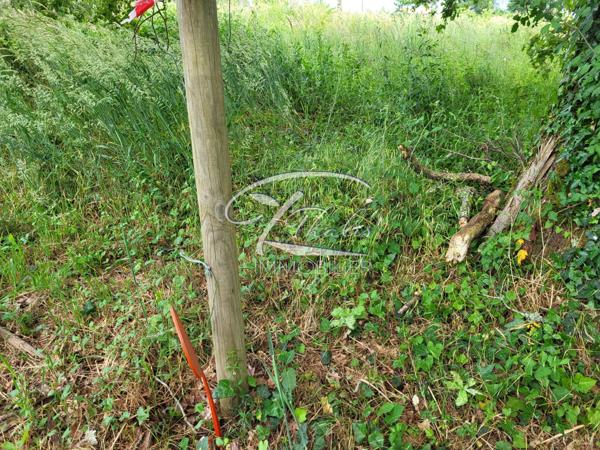 ST LOUBES HYPER CENTRE