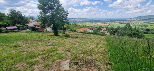 Terrain