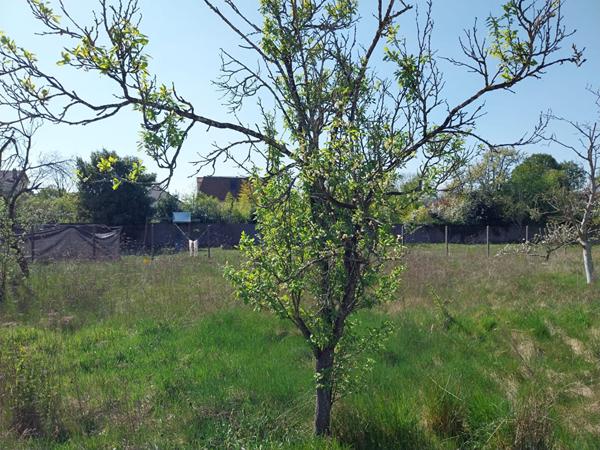 Terrain Les Mureaux 431 m²