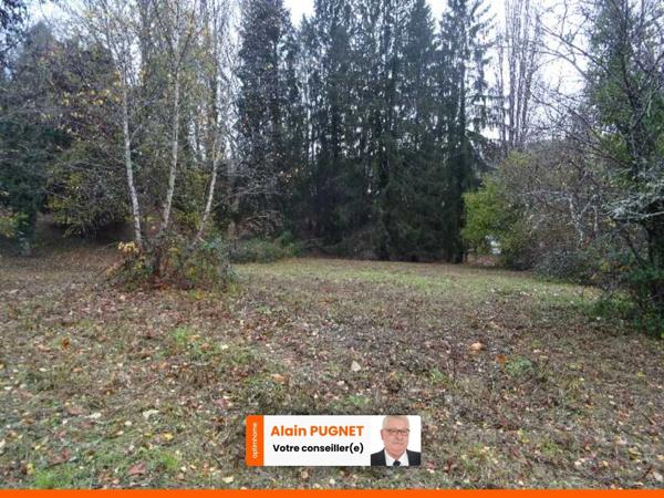 A PANAZOL BEAU TERRAIN DE 8182 M² AVEC CU DANS UNE IMPASSE