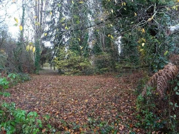 A PANAZOL BEAU TERRAIN DE 8182 M² AVEC CU DANS UNE IMPASSE