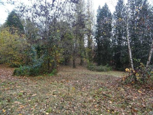 A PANAZOL BEAU TERRAIN DE 8182 M² AVEC CU DANS UNE IMPASSE