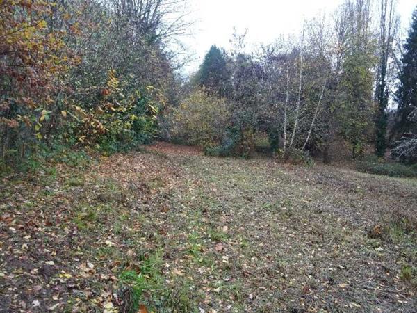 A PANAZOL BEAU TERRAIN DE 8182 M² AVEC CU DANS UNE IMPASSE