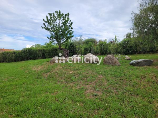 Appartement 2 pièces - 50 m²