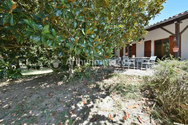 Vente Maison 6 pièces 227 m2 à Saint-Jean