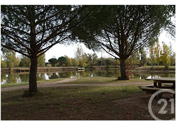 Terrain à vendre  1585 m2 DAMIATTE - 81