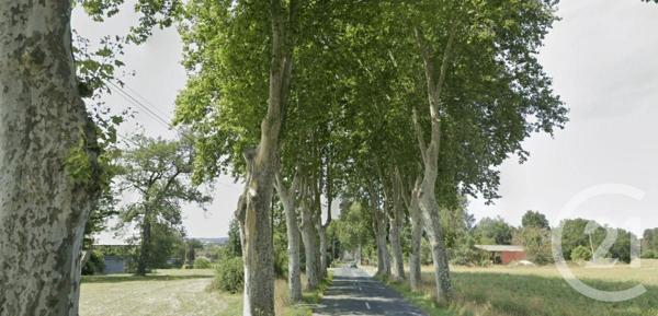 Terrain à vendre  1585 m2 DAMIATTE - 81