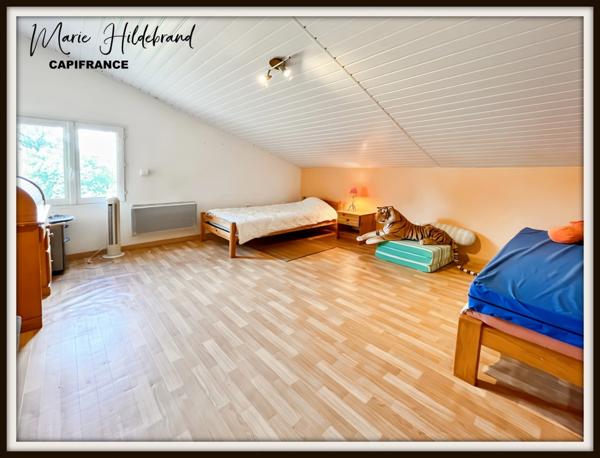 Propriété 200m² habitable - 3 chambres - 4 hectares et dépendances