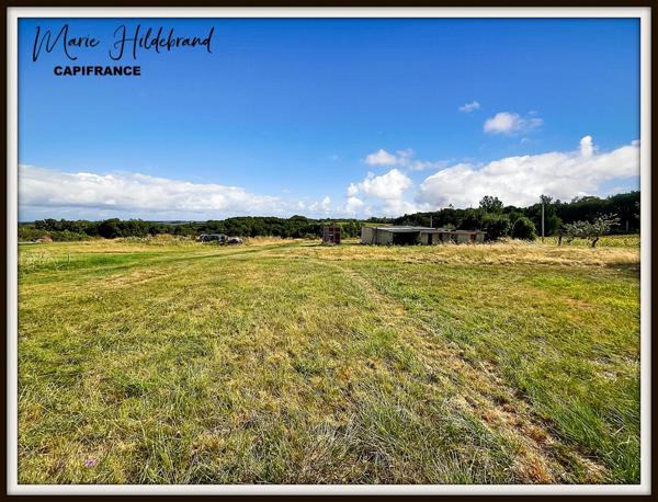 Propriété 200m² habitable - 3 chambres - 4 hectares et dépendances