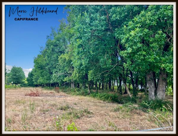 Propriété 200m² habitable - 3 chambres - 4 hectares et dépendances