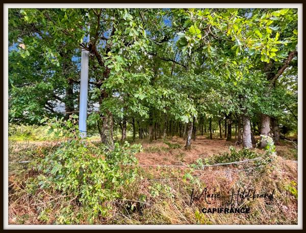 Propriété 200m² habitable - 3 chambres - 4 hectares et dépendances