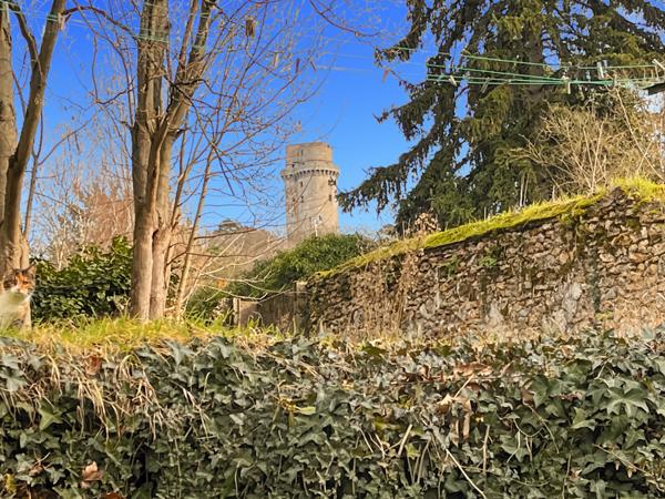 Linas (91310) LINAS – Appartement F2 au premier étage avec jardin à partager