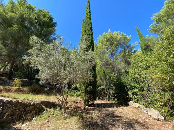 MAISON D'ARCHITECTE LE REVEST LES EAUX