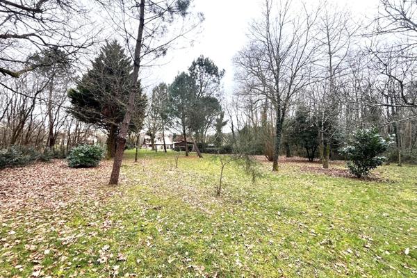 Grande et accueillante maison de famille avec dépendances sur un parc arboré en lisière de forêt.