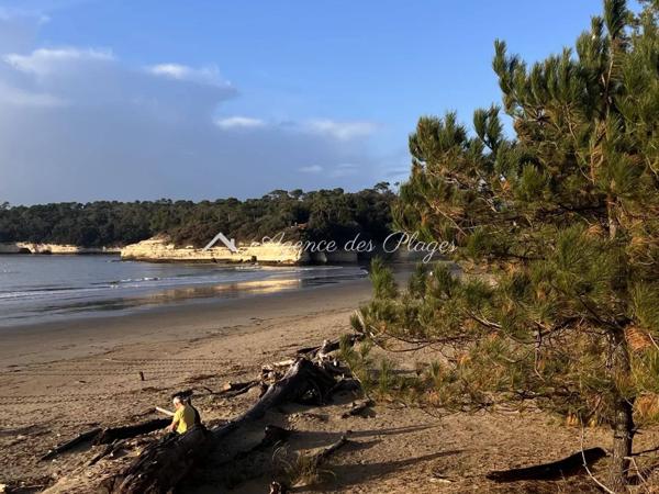 CHARMANT APPARTEMENT SUR LA PLAGE - MESCHERS