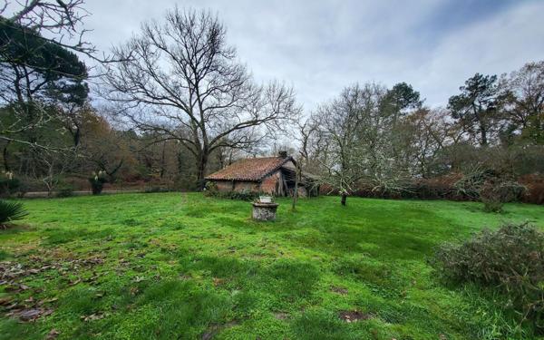 Maison à louer    4 pièces • 116,21 m2 Pouydesseaux