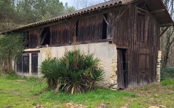 Maison à louer    4 pièces • 116,21 m2 Pouydesseaux