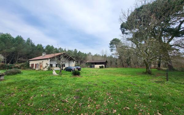 Maison à louer    4 pièces • 116,21 m2 Pouydesseaux