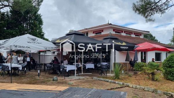 Fonds + murs Restaurant - Karaoké- Guinguette