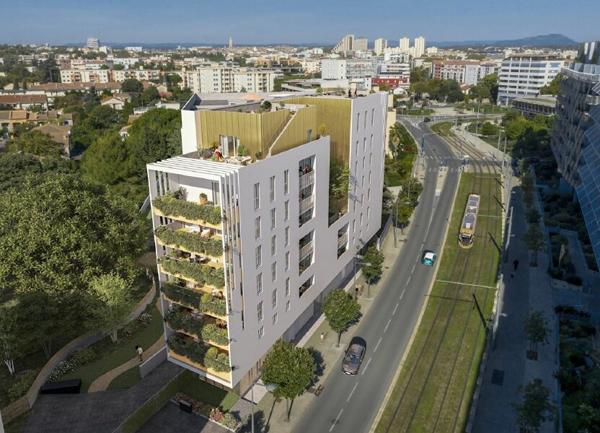 Appartement à vendre    3 pièces •  Montpellier