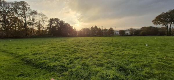 Terrain à Batir à vendre à Questembert dans le Morbihan (56230), ref : 56013-786