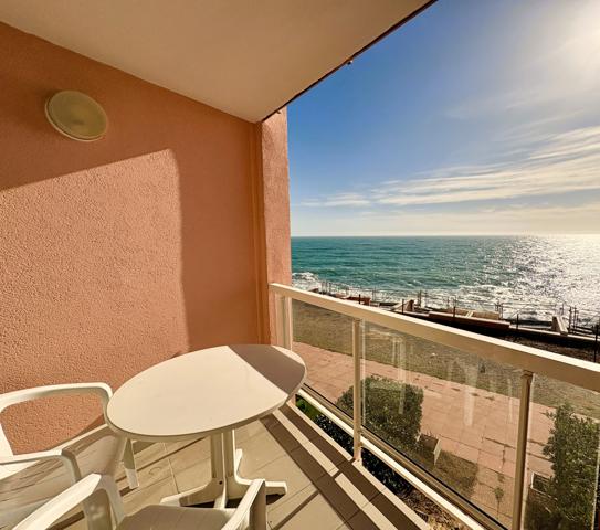 Appartement 1 pièce - 27 m² Exclusivité efficity