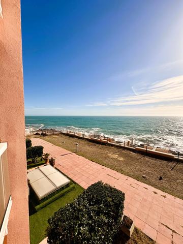 Appartement 1 pièce - 27 m² Exclusivité efficity