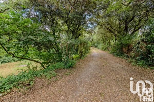 Maison à vendre 4 pièces 230 m² Bouillargues