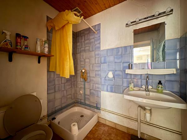 BORDEAUX CAPUCINS / NANSOUTY - IMMEUBLE EN PIERRE 225 M² - COUR - DÉPENDANCE - IDÉAL INVESTISSEUR , Bordeaux