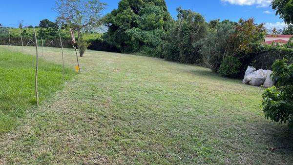 Terrain Le Lamentin 7047 m2