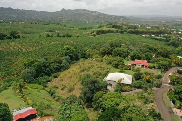 Terrain Le Lamentin 7047 m2