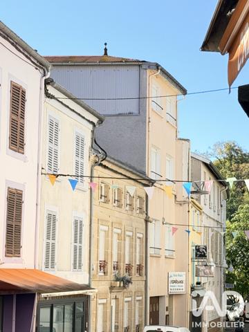 Immeuble à vendre 230 m² Bourbonne-les-Bains