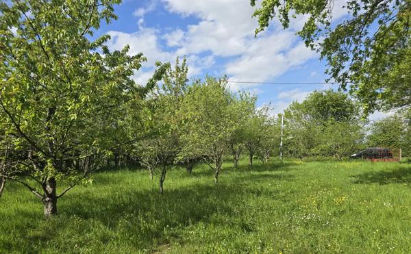 PRÉCIGNÉ Terrain de loisirs / verger de plus de 1 800 m2