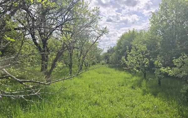 PRÉCIGNÉ Terrain de loisirs / verger de plus de 1 800 m2