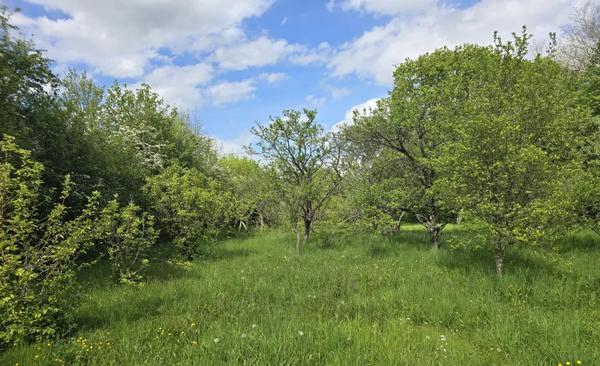 PRÉCIGNÉ Terrain de loisirs / verger de plus de 1 800 m2