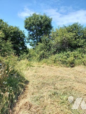 CAMARET SUR MER - Secteur Kerven - Terrain à bâtir de 1355 m² (dont 961 m² en zone constructibl...