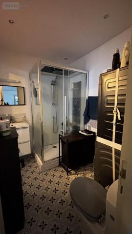 Immeuble à vendre à Bouchemaine dans le Maine-et-Loire (49080), ref : 49020-480