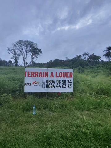TERRAIN 1000M2 bord rte de Macouria 5mn bourg 800€
