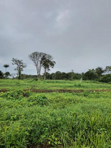 TERRAIN 1000M2 bord rte de Macouria 5mn bourg 800€