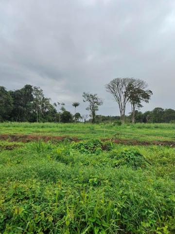 TERRAIN 1000M2 bord rte de Macouria 5mn bourg 800€