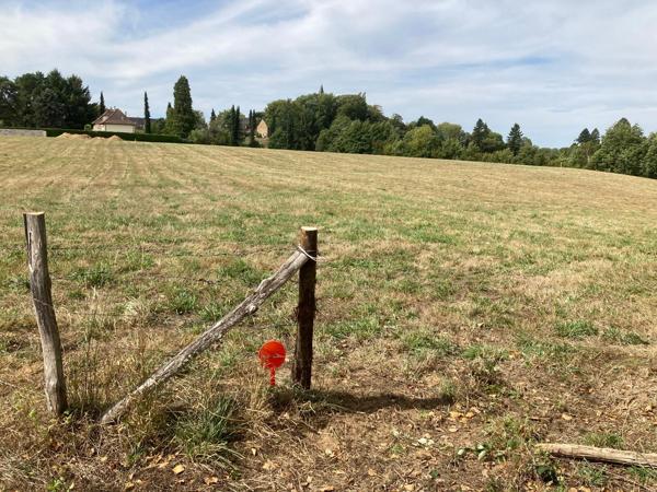 Terrain
        
        - 7305 m² Exclusivité 37 000 € *