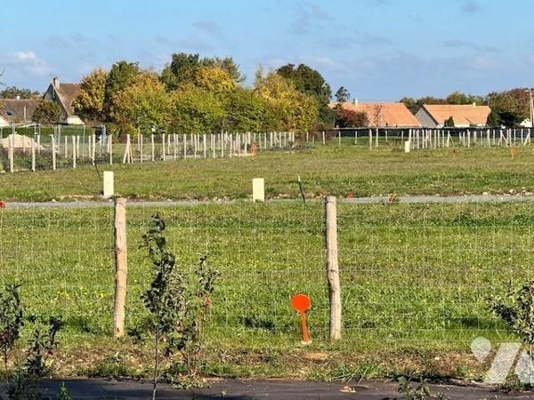 TERRAIN CONSTRUCTIBLE VIABILISE DE 256M²