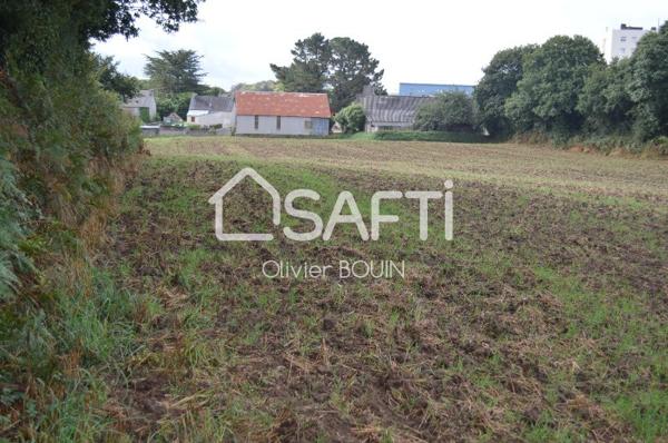 Terrain constructible