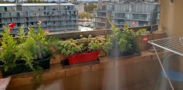 Annexe + appartement