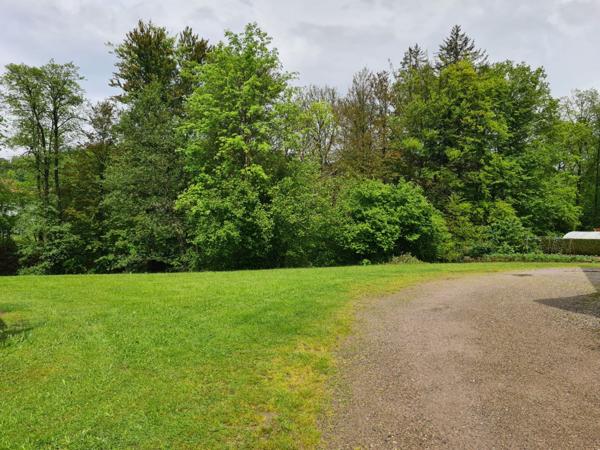 Vente Maison316,72 m² - 7 Pièces - LE THILLOT (88160)